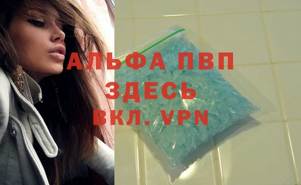 ГАЛЛЮЦИНОГЕННЫЕ ГРИБЫ Лагань