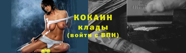 ГАЛЛЮЦИНОГЕННЫЕ ГРИБЫ Лагань