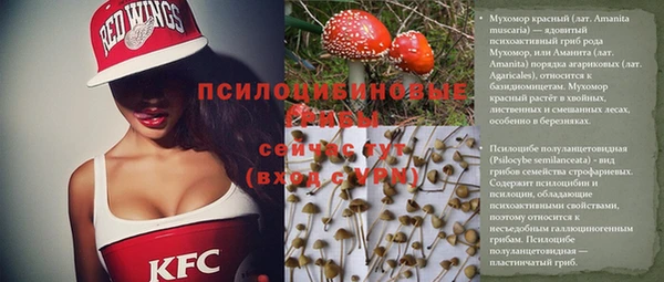 бошки Лиски